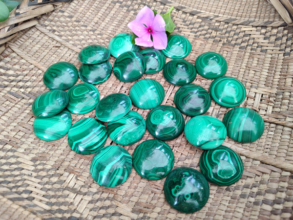 Hand Made Round Flower Banded Malachite Cabochons - Sold Per Item - From Congo