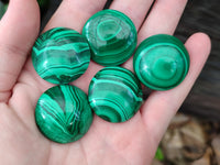 Hand Made Round Flower Banded Malachite Cabochons - Sold Per Item - From Congo