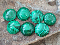 Hand Made Round Flower Banded Malachite Cabochons - Sold Per Item - From Congo