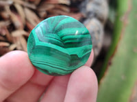 Hand Made Round Flower Banded Malachite Cabochons - Sold Per Item - From Congo