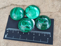 Hand Made Round Flower Banded Malachite Cabochons - Sold Per Item - From Congo