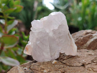 Natural Cactus Spirit Quartz Clusters x 12 From Boekenhouthoek, South Africa