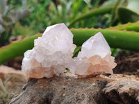 Natural Cactus Spirit Quartz Clusters x 12 From Boekenhouthoek, South Africa