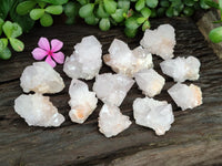 Natural Cactus Spirit Quartz Clusters x 12 From Boekenhouthoek, South Africa