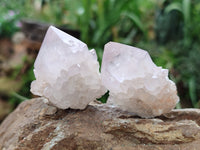 Natural Cactus Spirit Quartz Clusters x 12 From Boekenhouthoek, South Africa