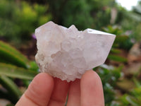 Natural Cactus Spirit Quartz Clusters x 12 From Boekenhouthoek, South Africa