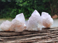 Natural Cactus Spirit Quartz Clusters x 12 From Boekenhouthoek, South Africa