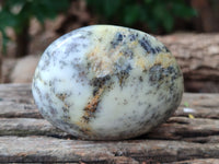 Polished Dendritic Opal Palm Stones x 6 From Moralambo, Madagascar