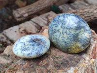 Polished Dendritic Opal Palm Stones x 6 From Moralambo, Madagascar