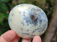 Polished Dendritic Opal Palm Stones x 6 From Moralambo, Madagascar