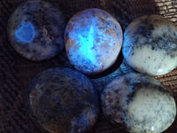 Polished Dendritic Opal Palm Stones x 6 From Moralambo, Madagascar