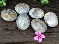 Polished Dendritic Opal Palm Stones x 6 From Moralambo, Madagascar