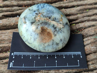 Polished Dendritic Opal Palm Stones x 6 From Moralambo, Madagascar