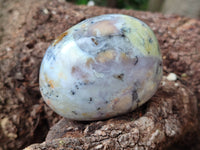 Polished Dendritic Opal Palm Stones x 6 From Moralambo, Madagascar