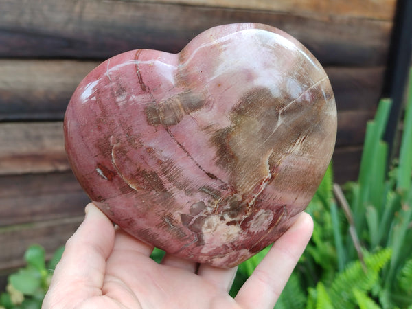 Polished Podocarpus Petrified Wood Heart x 1 From Mahajanga, Madagascar