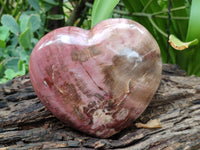 Polished Podocarpus Petrified Wood Heart x 1 From Mahajanga, Madagascar