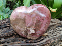 Polished Podocarpus Petrified Wood Heart x 1 From Mahajanga, Madagascar