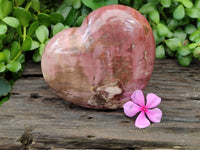 Polished Podocarpus Petrified Wood Heart x 1 From Mahajanga, Madagascar