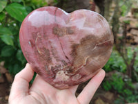 Polished Podocarpus Petrified Wood Heart x 1 From Mahajanga, Madagascar