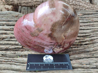 Polished Podocarpus Petrified Wood Heart x 1 From Mahajanga, Madagascar