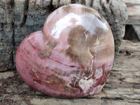 Polished Podocarpus Petrified Wood Heart x 1 From Mahajanga, Madagascar