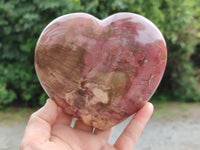 Polished Podocarpus Petrified Wood Heart x 1 From Mahajanga, Madagascar