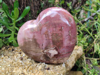 Polished Podocarpus Petrified Wood Heart x 1 From Mahajanga, Madagascar