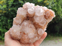 Natural Spirit Quartz Clusters x 2 From Boekenhouthoek, South Africa