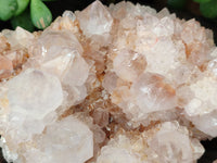 Natural Spirit Quartz Clusters x 2 From Boekenhouthoek, South Africa