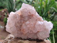 Natural Spirit Quartz Clusters x 2 From Boekenhouthoek, South Africa