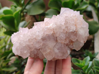 Natural Spirit Quartz Clusters x 2 From Boekenhouthoek, South Africa