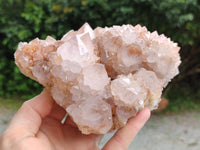 Natural Spirit Quartz Clusters x 2 From Boekenhouthoek, South Africa