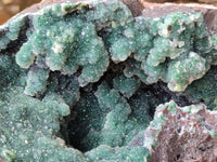 Natural Ball Malachite On Dolomite Matrix Specimen x 1 From Kambove, Congo