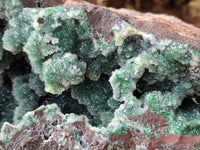 Natural Ball Malachite On Dolomite Matrix Specimen x 1 From Kambove, Congo