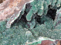 Natural Ball Malachite On Dolomite Matrix Specimen x 1 From Kambove, Congo