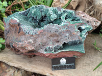 Natural Ball Malachite On Dolomite Matrix Specimen x 1 From Kambove, Congo