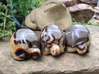 Hand Made Septerye Tortoise Carvings x 4 From Madagascar