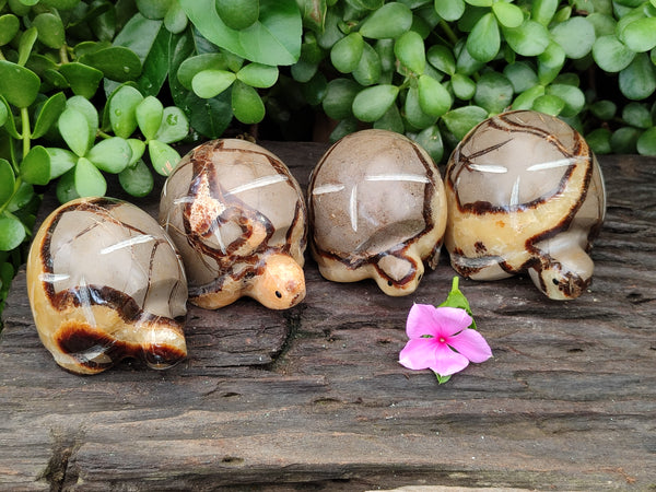 Hand Made Septerye Tortoise Carvings x 4 From Madagascar