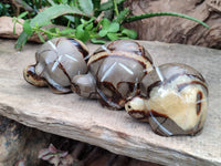 Hand Made Septerye Tortoise Carvings x 4 From Madagascar