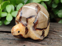 Hand Made Septerye Tortoise Carvings x 4 From Madagascar