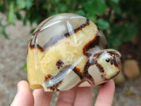 Hand Made Septerye Tortoise Carvings x 4 From Madagascar