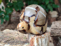 Hand Made Septerye Tortoise Carvings x 4 From Madagascar