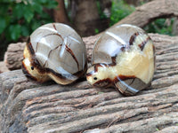 Hand Made Septerye Tortoise Carvings x 4 From Madagascar