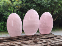 Polished Rose Quartz Standing Free Forms x 6 From Madagascar