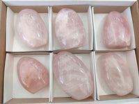 Polished Rose Quartz Standing Free Forms x 6 From Madagascar