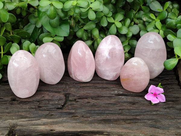 Polished Rose Quartz Standing Free Forms x 6 From Madagascar