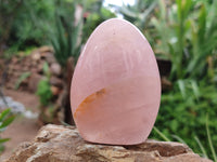 Polished Rose Quartz Standing Free Forms x 6 From Madagascar