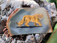 Hand Made Lioness Decoupage Stone Slabs x 3 From Southern Africa