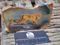 Hand Made Lioness Decoupage Stone Slabs x 3 From Southern Africa