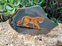 Hand Made Lioness Decoupage Stone Slabs x 3 From Southern Africa